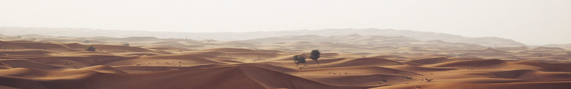 оϢƼ޹˾